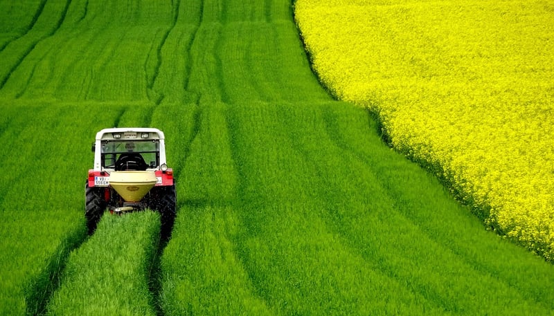 Cover Crops